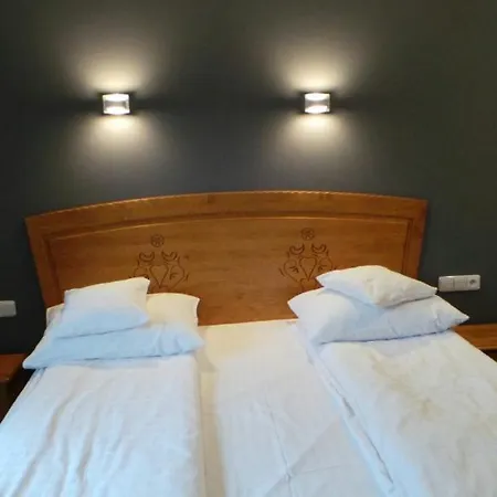 Hotel Zornica Poczesna