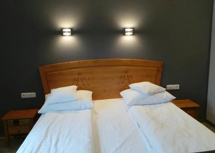 Hotel Zornica Poczesna